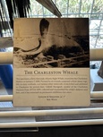 IMG_3805.jpg IMG_3805.jpg