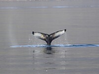 IMG_1042.jpg