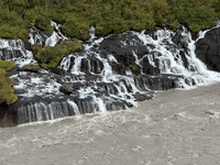 IMG_1118.jpg